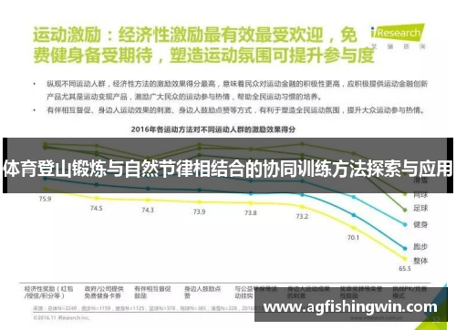 体育登山锻炼与自然节律相结合的协同训练方法探索与应用