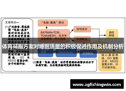 体育减脂方案对睡眠质量的积极促进作用及机制分析