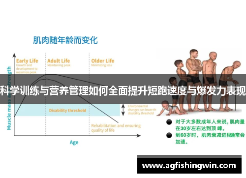 科学训练与营养管理如何全面提升短跑速度与爆发力表现